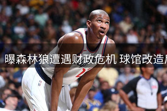 曝森林狼遭遇财政危机 球馆改造后仍处联盟下游