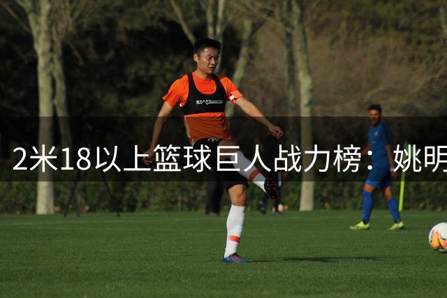 2米18以上篮球巨人战力榜：姚明跻身历史前五 天勾独占鳌头